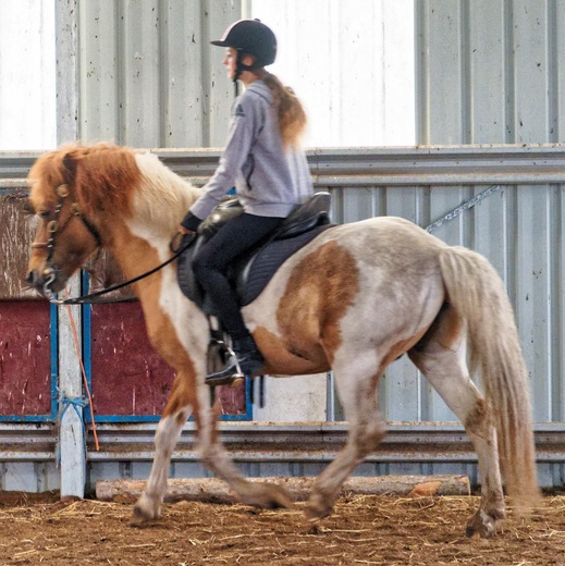 https://lemis.nyc3.digitaloceanspaces.com/yvonne/Photos/20241130/small/Kahlan-rides-Sparky-21.jpeg