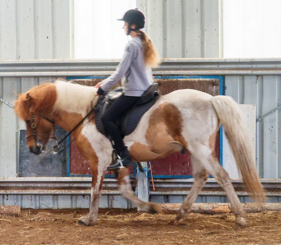 https://lemis.nyc3.digitaloceanspaces.com/yvonne/Photos/20241130/small/Kahlan-rides-Sparky-22.jpeg