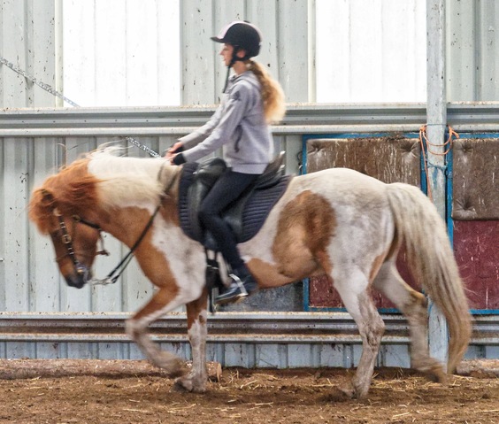 https://lemis.nyc3.digitaloceanspaces.com/yvonne/Photos/20241130/small/Kahlan-rides-Sparky-23.jpeg