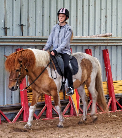 https://lemis.nyc3.digitaloceanspaces.com/yvonne/Photos/20241130/small/Kahlan-rides-Sparky-4.jpeg
