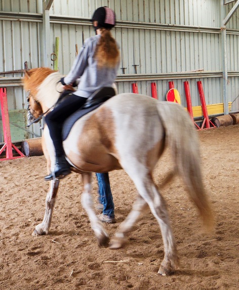 https://lemis.nyc3.digitaloceanspaces.com/yvonne/Photos/20241130/small/Kahlan-rides-Sparky-41.jpeg