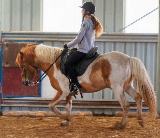 https://lemis.nyc3.digitaloceanspaces.com/yvonne/Photos/20241130/small/Kahlan-rides-Sparky-52.jpeg