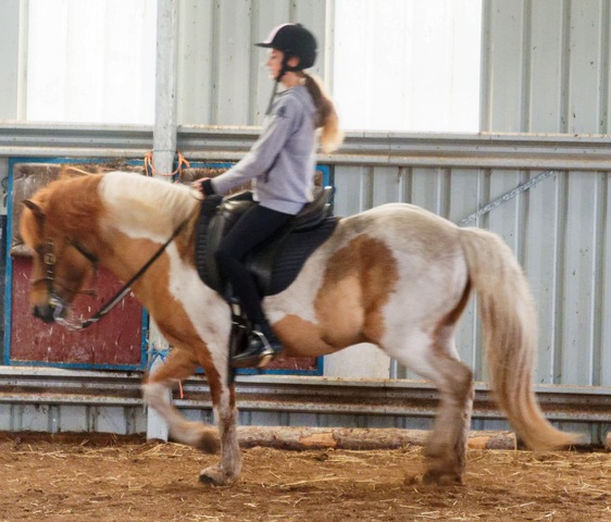 https://lemis.nyc3.digitaloceanspaces.com/yvonne/Photos/20241130/small/Kahlan-rides-Sparky-53.jpeg