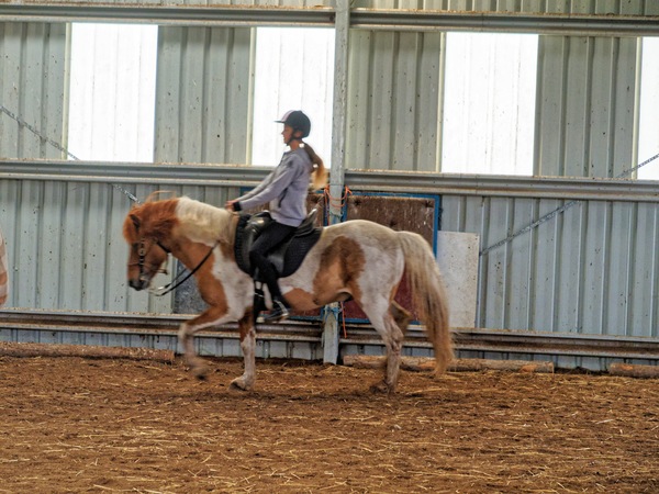 https://lemis.nyc3.digitaloceanspaces.com/yvonne/Photos/20241130/small/Kahlan-rides-Sparky-54.jpeg