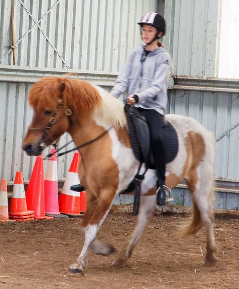 https://lemis.nyc3.digitaloceanspaces.com/yvonne/Photos/20241130/small/Kahlan-rides-Sparky-59.jpeg