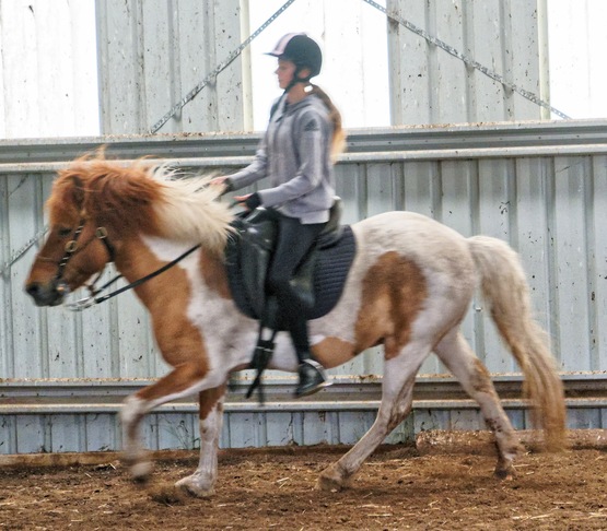 https://lemis.nyc3.digitaloceanspaces.com/yvonne/Photos/20241130/small/Kahlan-rides-Sparky-6.jpeg