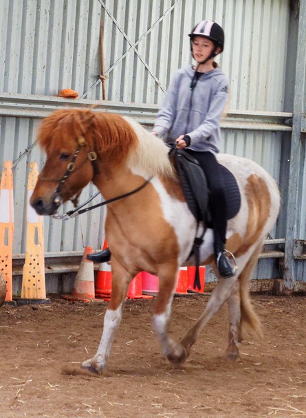 https://lemis.nyc3.digitaloceanspaces.com/yvonne/Photos/20241130/small/Kahlan-rides-Sparky-60.jpeg