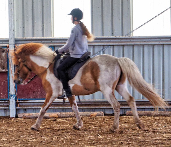 https://lemis.nyc3.digitaloceanspaces.com/yvonne/Photos/20241130/small/Kahlan-rides-Sparky-8.jpeg