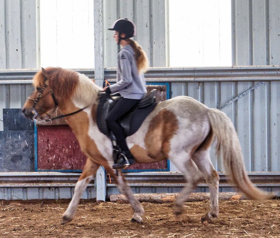 https://lemis.nyc3.digitaloceanspaces.com/yvonne/Photos/20241130/small/Kahlan-rides-Sparky-9.jpeg