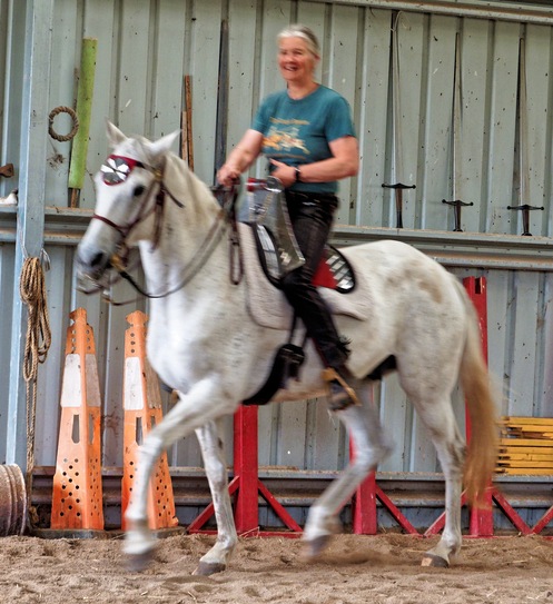 https://lemis.nyc3.digitaloceanspaces.com/yvonne/Photos/20241201/small/Chris-rides-Phoebus-10.jpeg