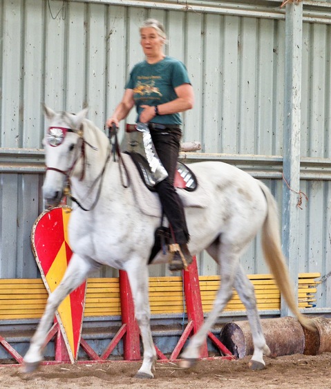 https://lemis.nyc3.digitaloceanspaces.com/yvonne/Photos/20241201/small/Chris-rides-Phoebus-7.jpeg
