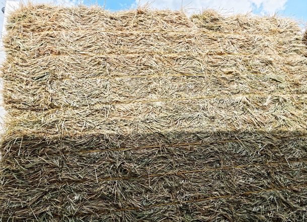 https://lemis.nyc3.digitaloceanspaces.com/yvonne/Photos/20250312/small/unloading-hay-2.jpeg
