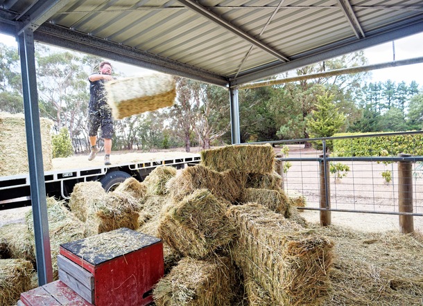 https://lemis.nyc3.digitaloceanspaces.com/yvonne/Photos/20250312/small/unloading-hay-8.jpeg