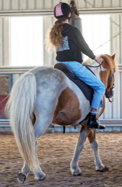 https://lemis.nyc3.digitaloceanspaces.com/yvonne/Photos/20250322/small/Kahlan-and-Sparky-50.jpeg