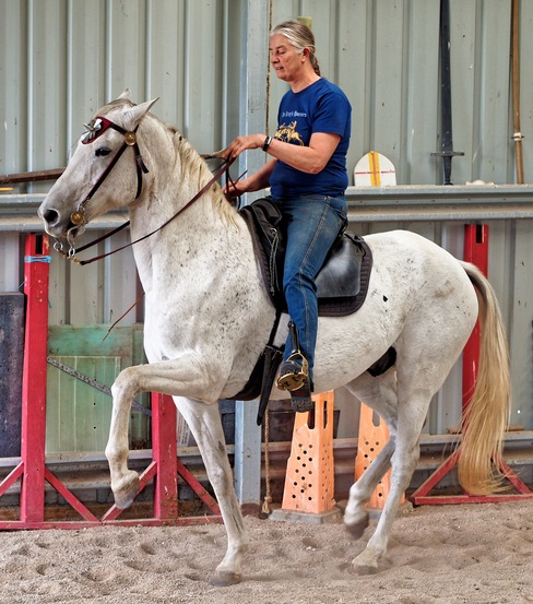 https://lemis.nyc3.digitaloceanspaces.com/yvonne/Photos/20250419/small/Chris-rides-Phoebus-5.jpeg