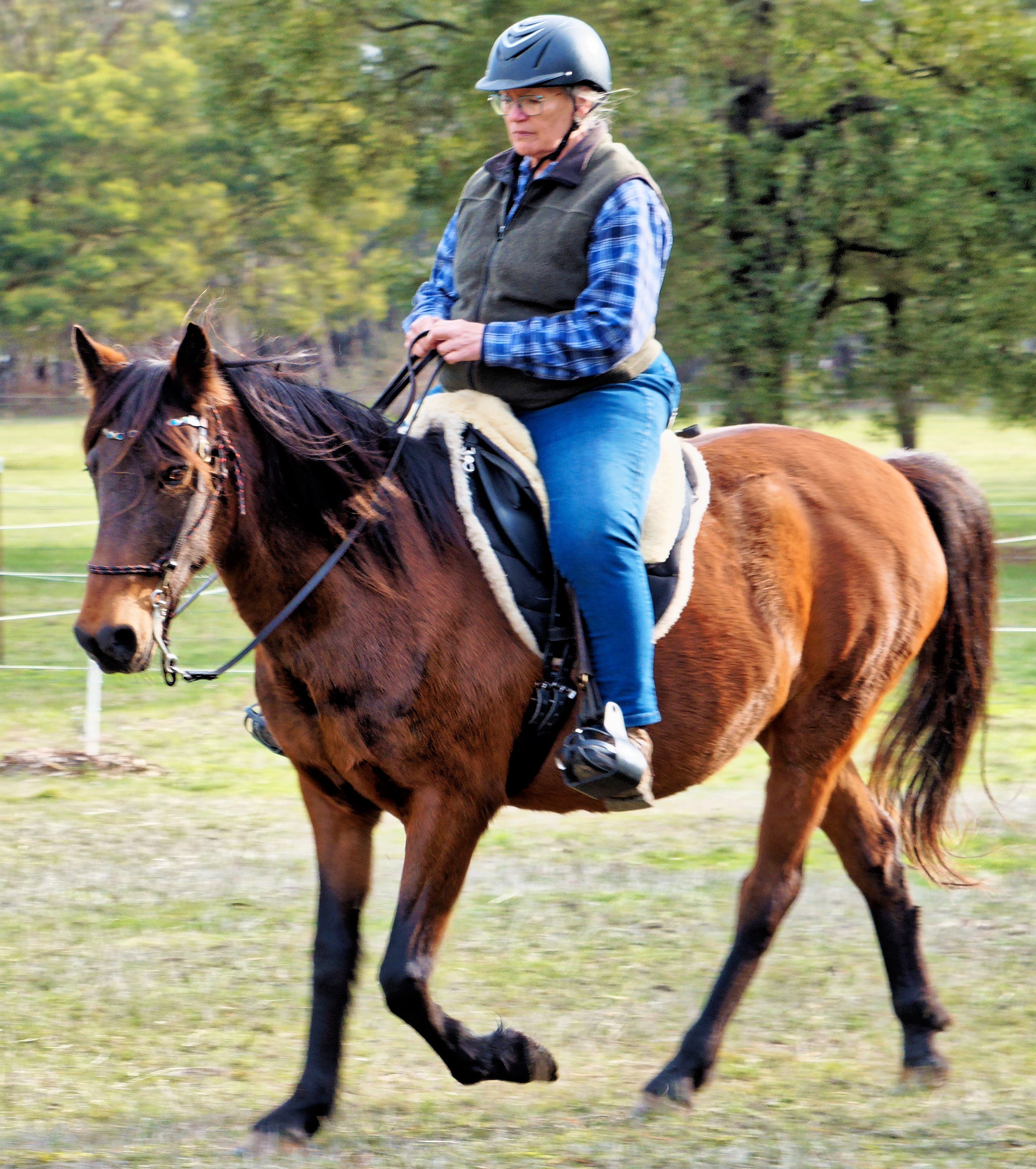 https://lemis.nyc3.digitaloceanspaces.com/yvonne/Photos/20250801/big/Jane-rides-Samba-11.jpeg