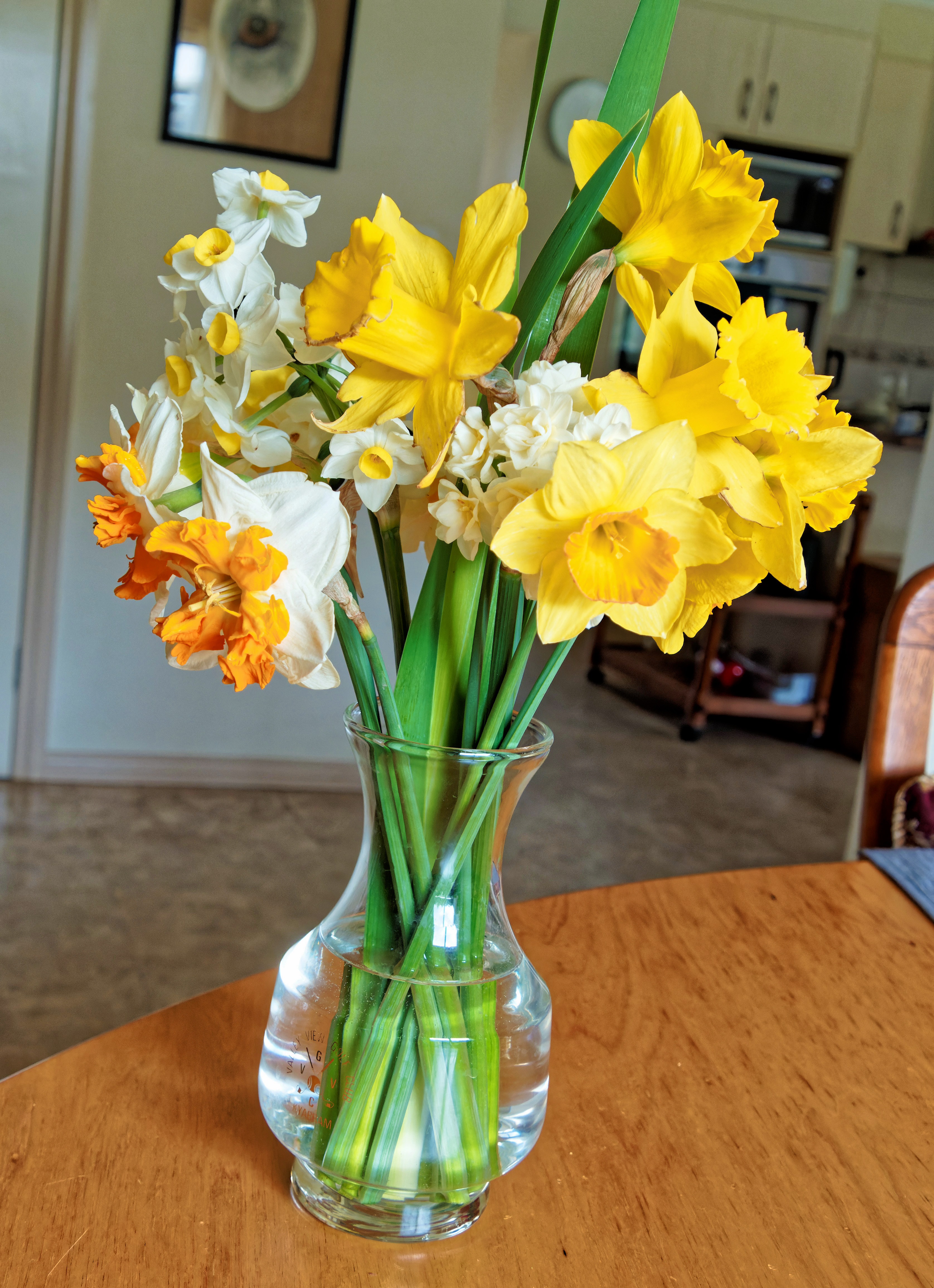 https://lemis.nyc3.digitaloceanspaces.com/yvonne/Photos/20250911/big/Daffodils-1.jpeg