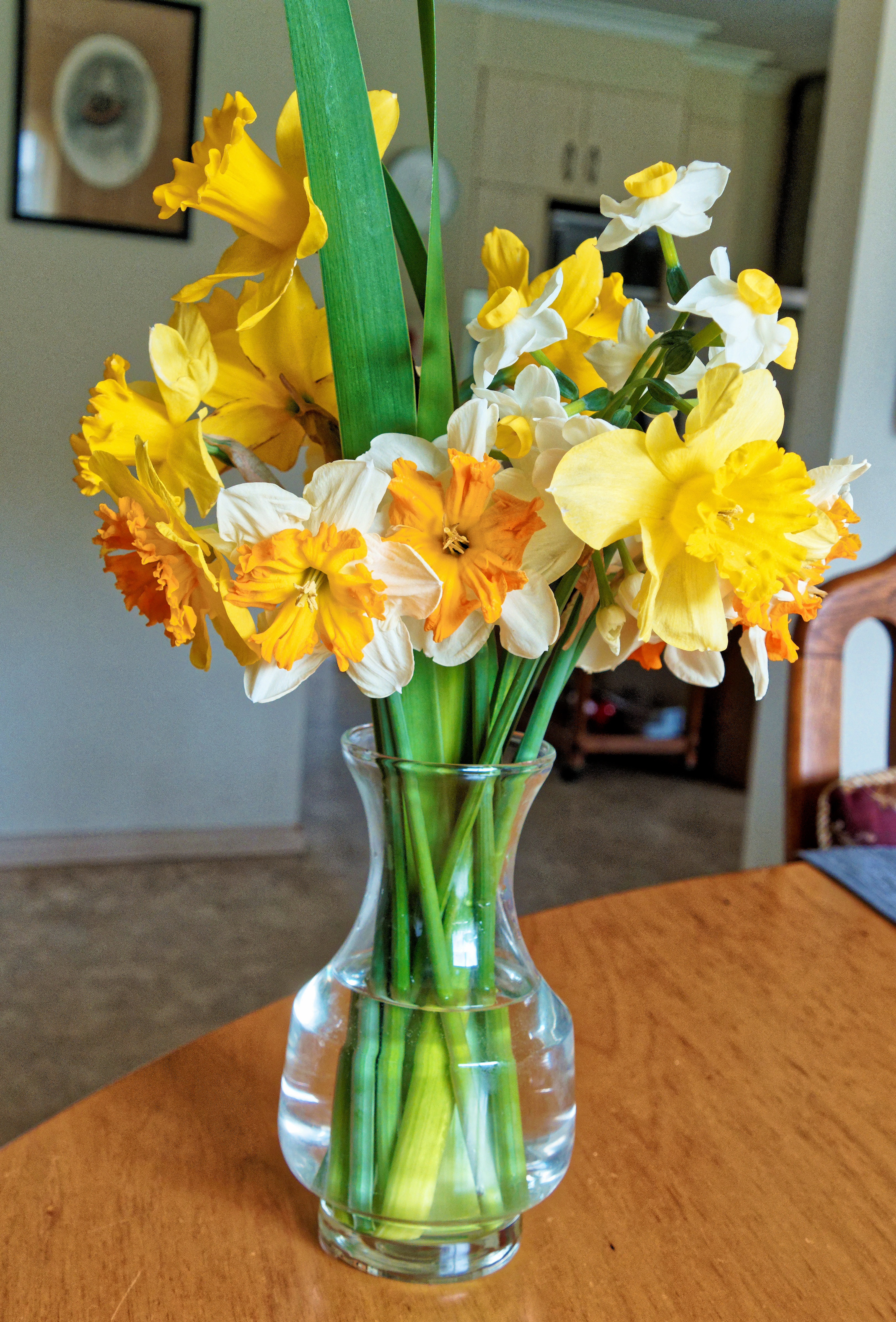 https://lemis.nyc3.digitaloceanspaces.com/yvonne/Photos/20250911/big/Daffodils-2.jpeg