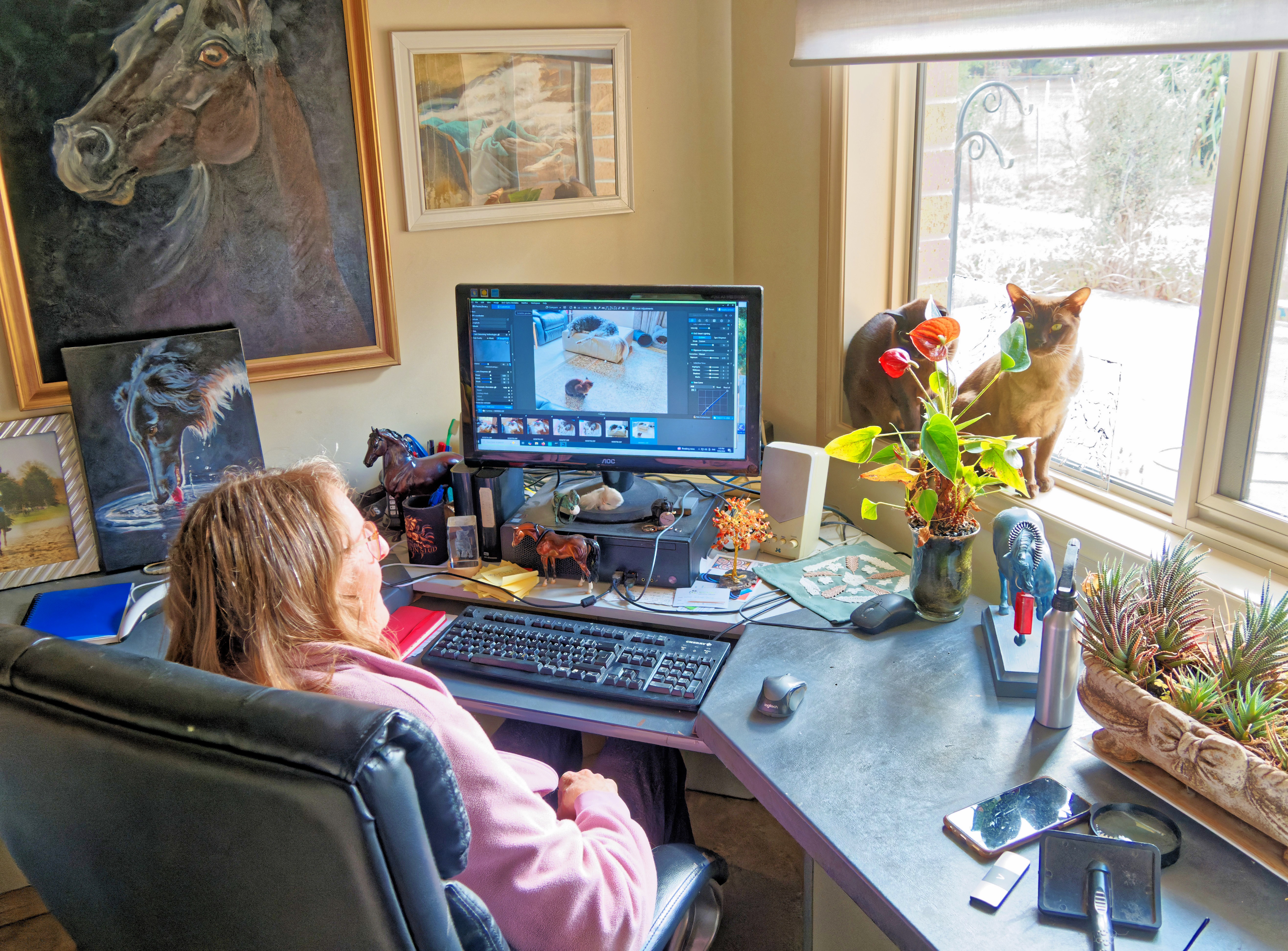 https://lemis.nyc3.digitaloceanspaces.com/yvonne/Photos/20260609/big/Yvonne-and-cats.jpeg