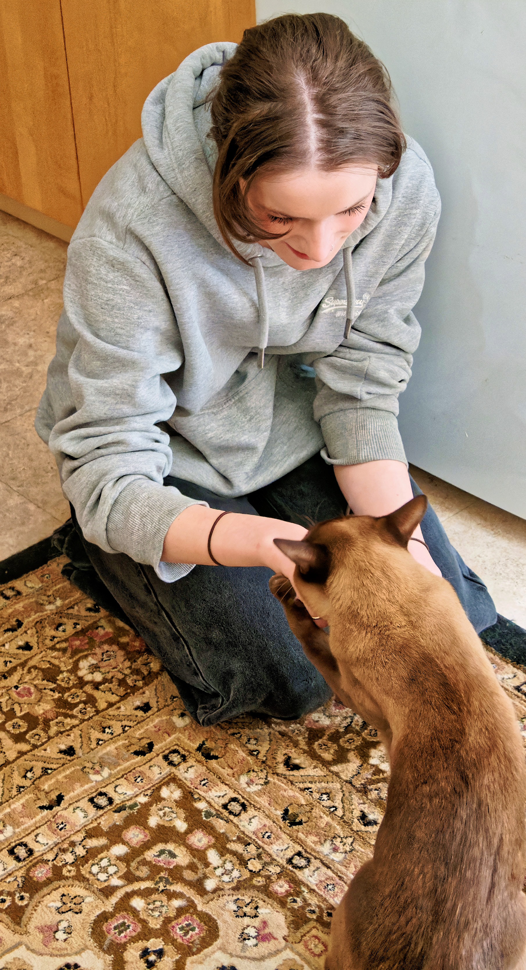 https://lemis.nyc3.digitaloceanspaces.com/yvonne/Photos/20260620/big/Bruno-10.jpeg